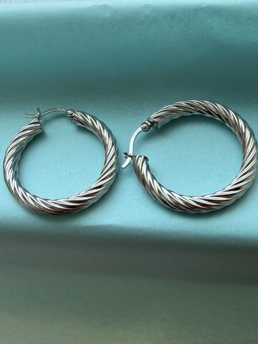 Textured Silver Twisted Hoop Earrings for Women